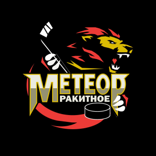 Метеор 2008-2009