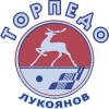 Торпедо 2008-2007
