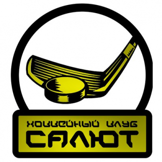 Салют 2008-2010