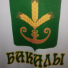Бакалы (2005-2006 г.р.)