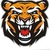 Тигры 2010-2011 гг.