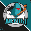 ХК Акулы 2010-2011