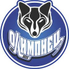 Олимпиец 2010-2011