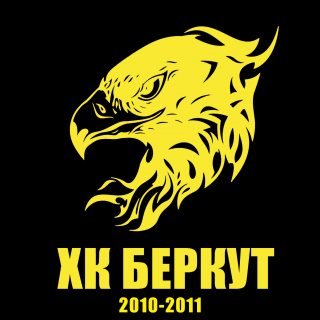 БЕРКУТ (2010-2011)