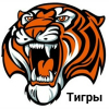 ХК Тигры 2013-2014