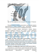 Учебные материалы по программе Анестезиология и реаниматология для СМП в Тюмени