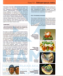 Учебные материалы по программе Стоматология ортопедическая для СМП в Тюмени
