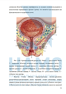 Учебные материалы по программе PRP-терапия в гинекологии в Магадане
