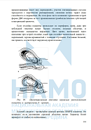 Учебные материалы по программе Акушерство и гинекология в Санкт-Петербурге